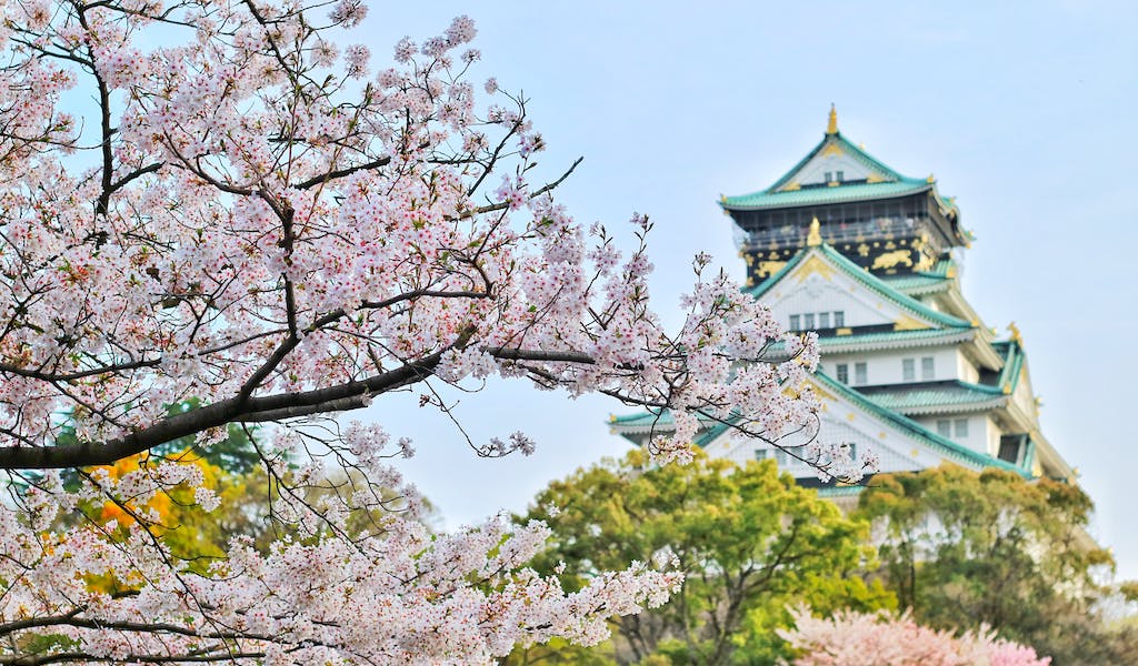 Chateau osaka cerisier