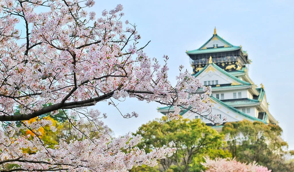 Château d’Osaka pendant un road trip au Japon