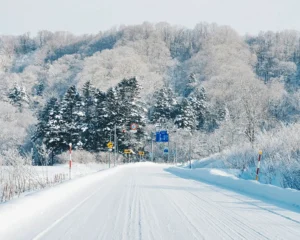 Lire la suite à propos de l’article Conduire au Japon en hiver : conseils et astuces